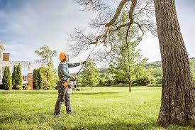 Best Lawn Watering Services  in Eldridge, IA